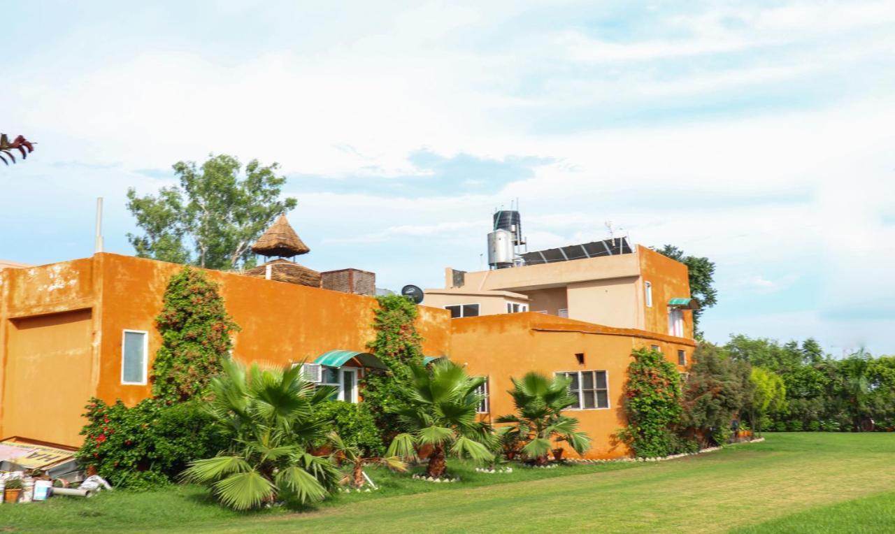 The Baghban Hotel & Resort, Baddi Exteriér fotografie